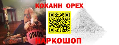СК Новозыбков