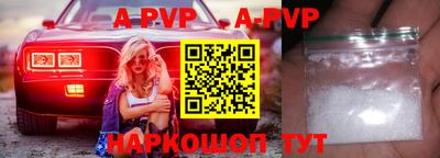 СК Новозыбков
