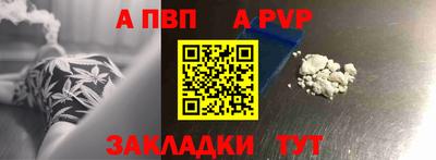 СК Новозыбков