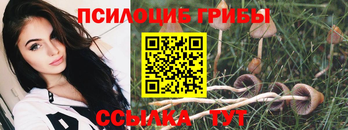 Псилоцибиновые грибы GOLDEN TEACHER Реутов